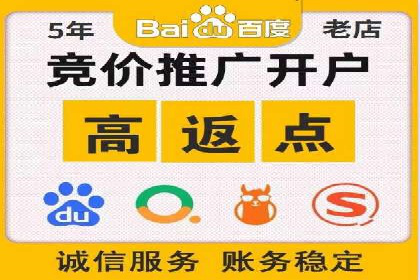 百度推广成功之路：从零到一的实战案例记录